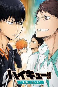 ดูหนังการ์ตูนอนิเมชั่น Haikyuu the Movie 3 Genius and Sense (2017) ไฮคิว!! คู่ตบฟ้าประทาน เดอะ มูฟวี่ 3