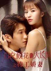 ดูหนังฟรีออนไลน์ หนังเอเชีย The Special Agent and His Hot Girl (2020) HD