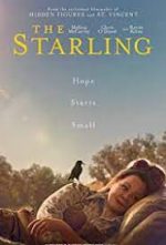 The Starling ดูหนังใหม่ Netflix